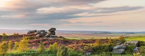 Late afternoon, Brimham Rocks, North Yorkshire.