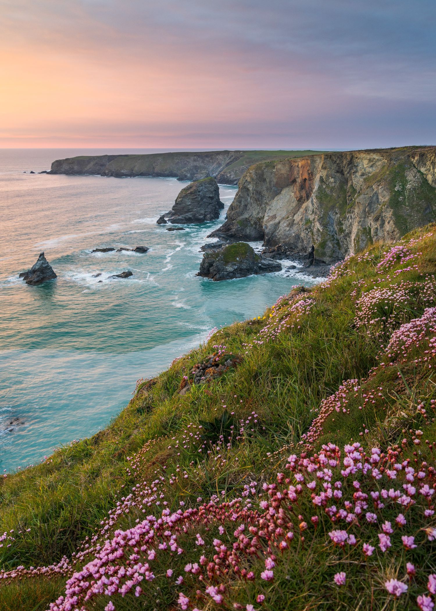 Corn Bedruthan-#1.jpg