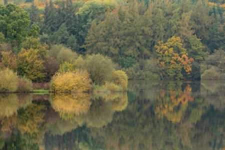 Fewston-Autumn-Colours.jpg